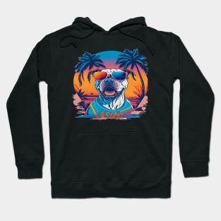 cool pitbull dog with sunglasses in summer vibes Hoodie